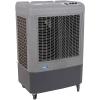 750 sq.ft. Outdoor Evaporative Cooler by Hessaire