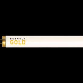 Bermuda Gold Premium FR71 Replacement Tanning Bulb by JK-Light