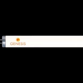 Genesis F74 Replacement Tanning Bed Bulb by JK-Light