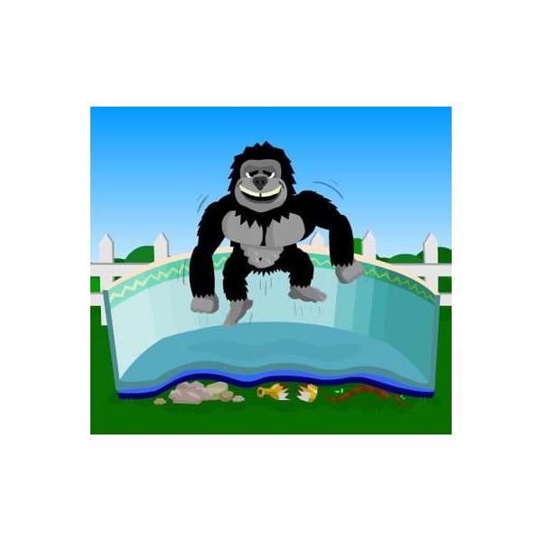 Gorilla Floor Padding Rectangular Pools by Family Leisure
